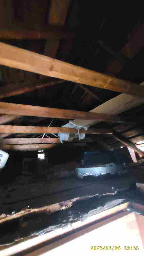 12794 alcoy (67).jpg